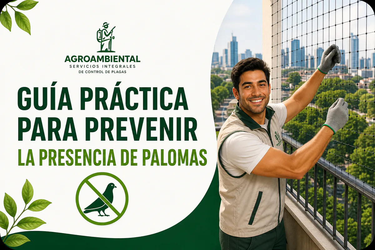 Guía práctica de Agroambiental para prevenir la presencia de palomas