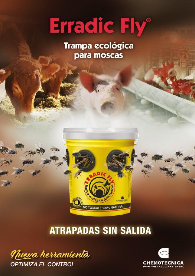 Erradic Fly trampa ecológica