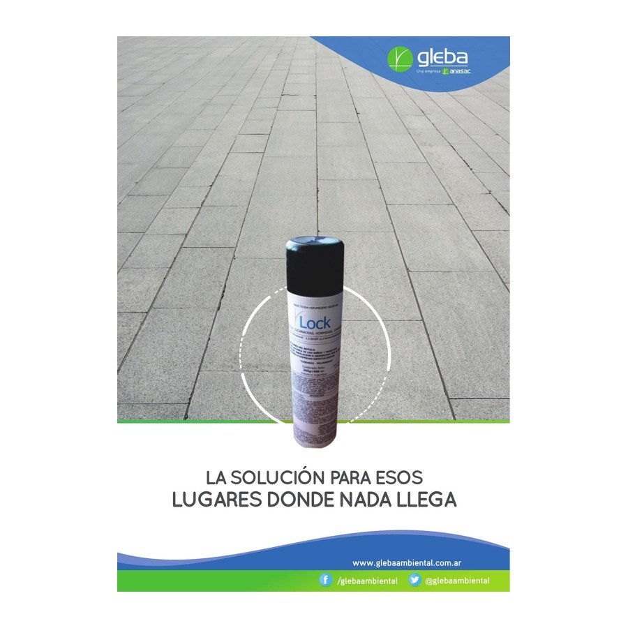 Lock espuma insecticida