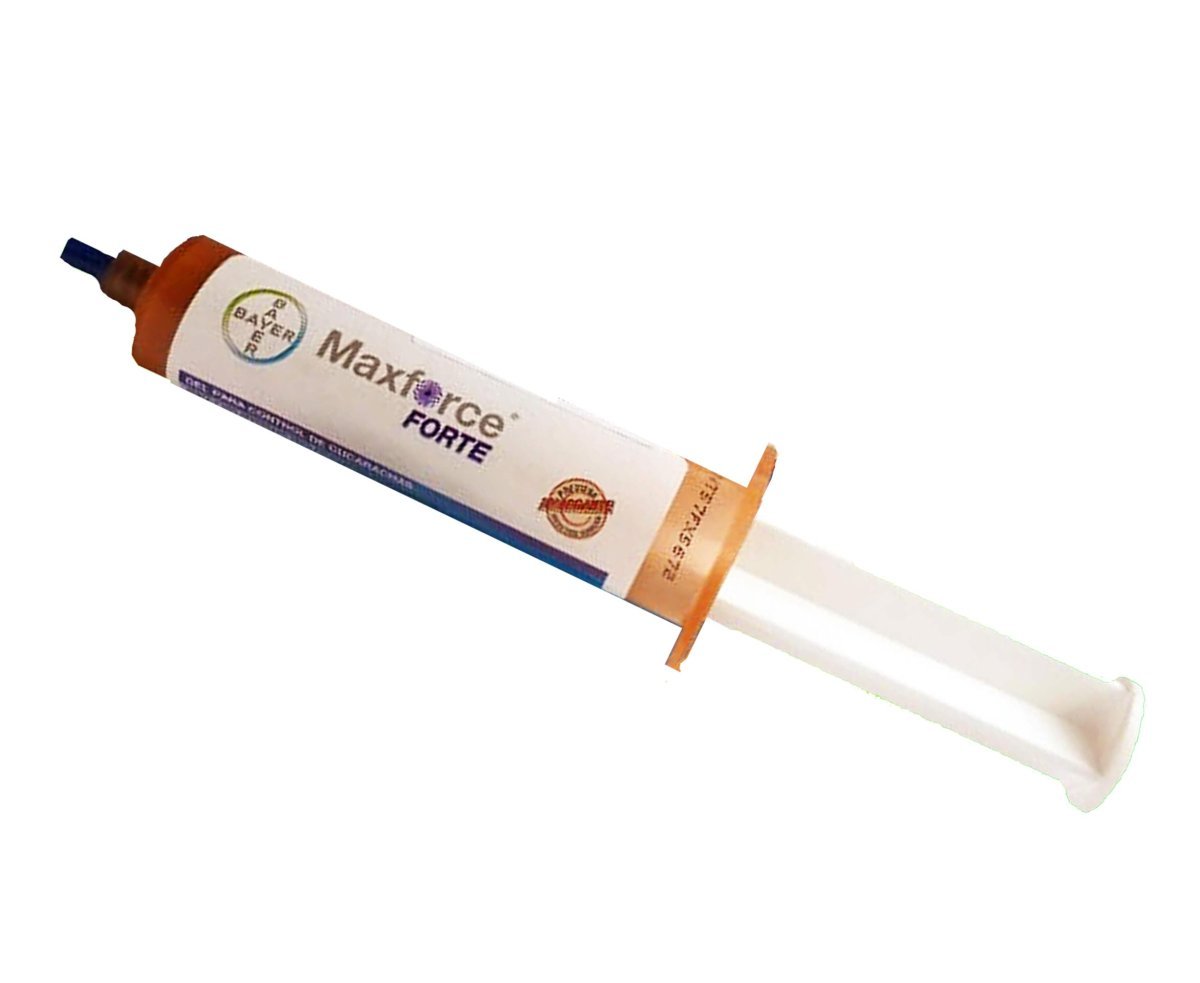 Maxforce Forte gel