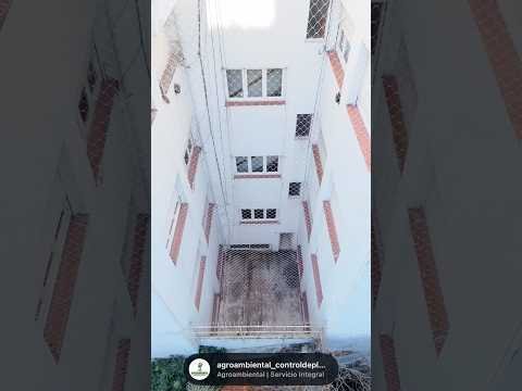 Trabajo real de colocación de redes antipalomas en un patio interno de Mar del Plata