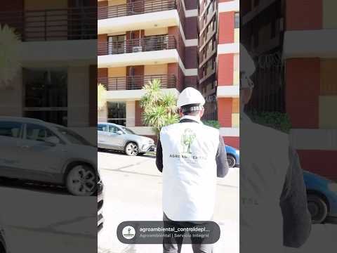 Trabajo real de instalación de una red antipalomas de más de 900 metros cuadrados en Mar del Plata