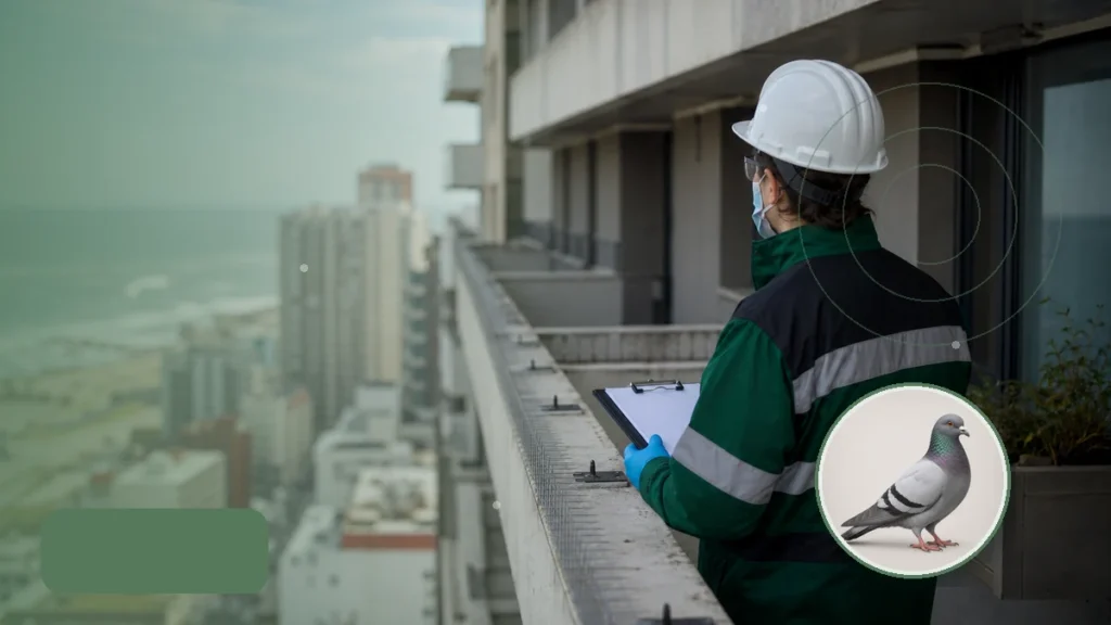 Técnica evaluando puntos de posado y exclusión de aves en un edificio. Tema: Lagunas bonaerenses: vigilancia de influenza aviar en av (Provincia de Buenos Aires)
