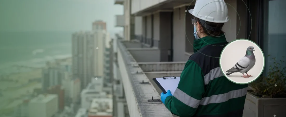 Técnica evaluando puntos de posado y exclusión de aves en un edificio. Tema: Psitacosis, palomas y limpieza segura de balcones en Mar del Plata (Mar del Plata)