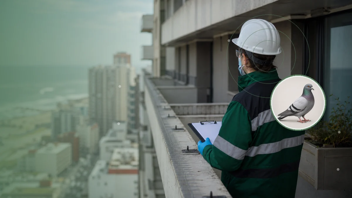Técnica evaluando puntos de posado y exclusión de aves en un edificio. Tema: Psitacosis, palomas y limpieza segura de balcones en Mar del Plata (Mar del Plata)